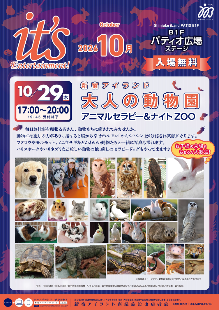 【新宿アイランド】10月29日(木)　大人の動物園　アニマルセラピー＆ナイトZOO 開催！の写真4